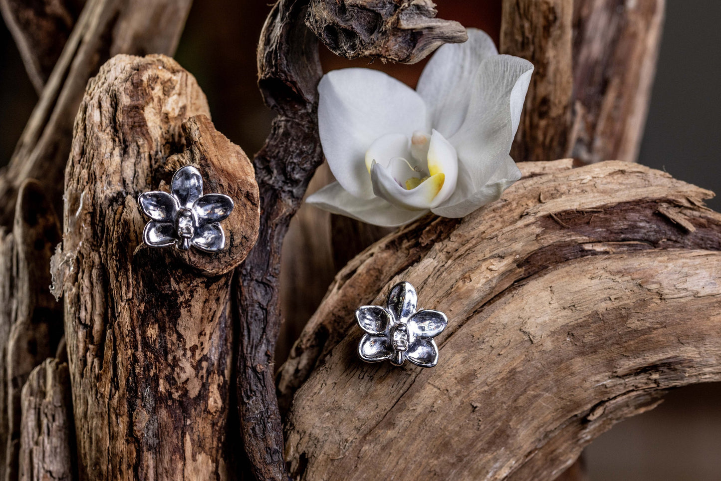 Silver Orchid Stud Earrings