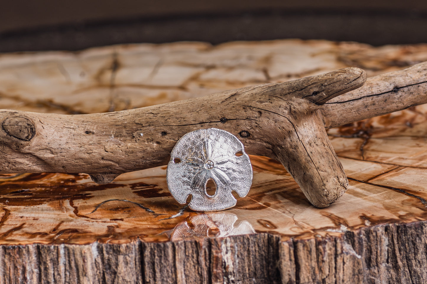 Pin Sand Dollar