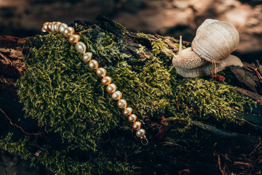 bracelet, saltwater pearls (gold), yellow gold