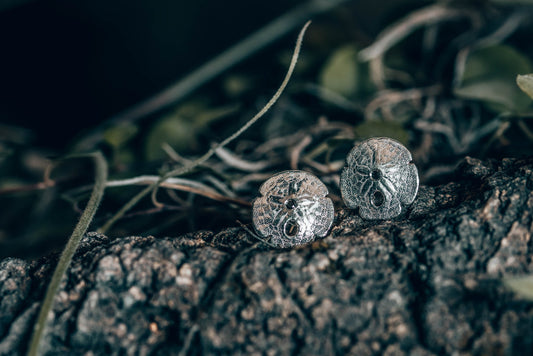 earrings, silver, black diamonds