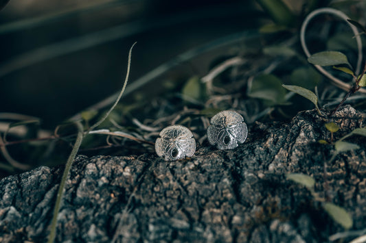 earrings, silver